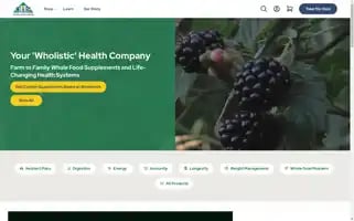 Optimalhealthsystems.com Screenshot 2024-06-13 06:56:59