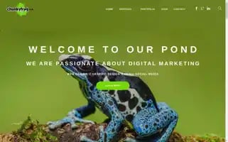 Chunkyfrog.co.uk Screenshot 2024-06-26 17:26:27