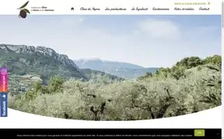 Nyons-aoc.com Screenshot 2024-06-18 06:33:35