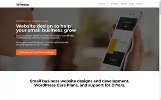 Trivessa.com Screenshot 2024-07-09 17:20:00