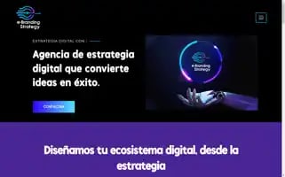 Ebrandingstrategy.com Screenshot 2024-06-18 23:27:47