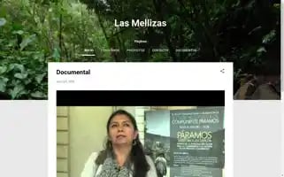 Fundacionlasmellizas.blogspot.com Screenshot 2024-07-03 19:59:27