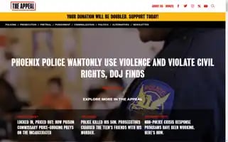 Theappeal.org Screenshot 2024-06-30 15:04:23