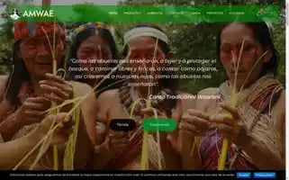 Amwae.org Screenshot 2024-06-12 00:29:38