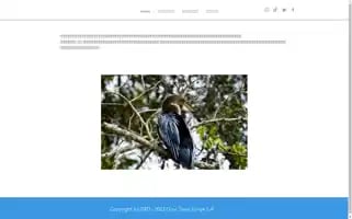 Goyi-tours.com Screenshot 2024-04-17 09:51:20