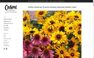 Orchardnursery.com Screenshot 2024-07-01 05:53:14