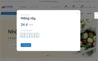 Conut.vn Screenshot 2024-06-28 16:09:52