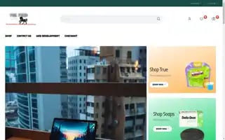 Ohsofastdelivery.com Screenshot 2024-06-17 20:30:14