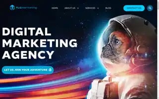 Tlgmarketing.com Screenshot 2024-06-18 23:31:43