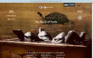 Spiritofturtle.com Screenshot 2024-06-11 09:57:02