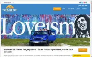 Tonsoffuntours.com Screenshot 2024-04-16 03:04:04