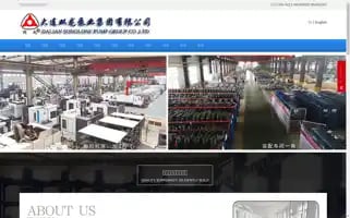 Songlone.cn Screenshot 2024-06-16 17:42:07