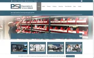 Psireland.ie Screenshot 2024-06-29 21:32:31