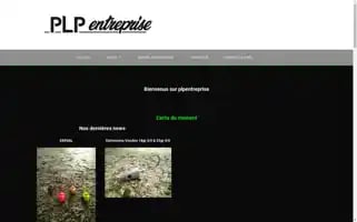 Plpentreprise.com Screenshot 2024-05-17 02:59:14
