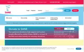 Sane.org.uk Screenshot 2024-06-28 17:58:19