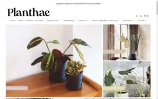 Planthae.com Screenshot 2024-06-12 00:39:47
