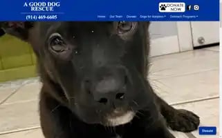 Agooddogrescue.org Screenshot 2024-07-01 11:31:56