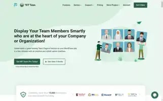 Getwpteam.com Screenshot 2024-06-17 22:24:04