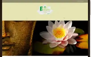 E-balanz.nl Screenshot 2024-06-17 07:45:14