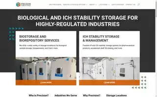 Precisionstabilitystorage.com Screenshot 2024-06-18 23:20:31