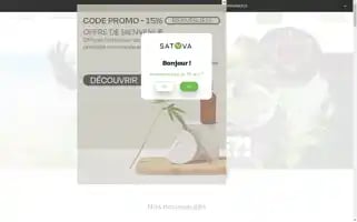 Satyva.fr Screenshot 2024-06-17 01:18:39