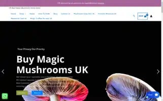 Ukmagicshroom.uk Screenshot 2024-06-19 03:02:32