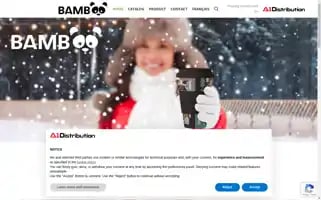 Bamboomugs.ca Screenshot 2024-06-18 13:08:42