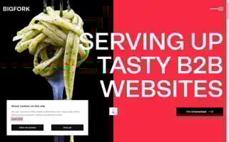 Bigfork.co.uk Screenshot 2024-06-13 15:16:41