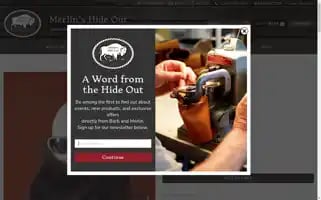 Bisonbeards.com Screenshot 2024-05-20 00:53:23