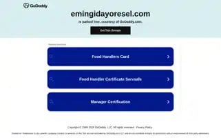 Emingidayoresel.com Screenshot 2024-05-24 14:33:11