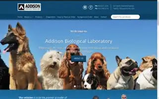 Addisonlabs.com Screenshot 2024-06-11 13:30:23