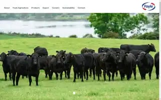 Foylefoodgroup.com Screenshot 2024-06-11 06:28:28