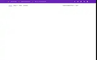 Nolalapelpins.com Screenshot 2024-05-13 04:00:36