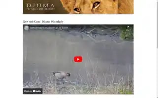Djuma.com Screenshot 2024-07-02 02:03:40