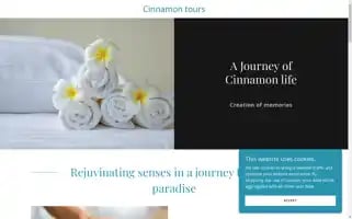 Cinnomontours.com Screenshot 2024-04-16 22:50:20