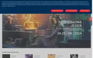 Targikielce.pl Screenshot 2024-07-01 14:29:58