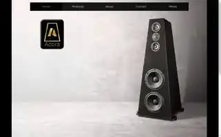 Acoraacoustics.com Screenshot 2024-07-05 16:22:41
