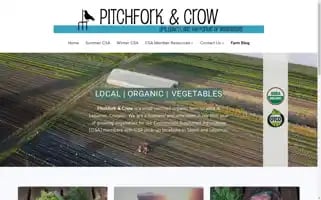 Pitchforkandcrow.com Screenshot 2024-06-30 10:35:51