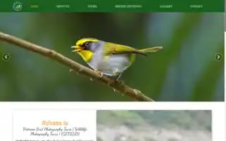 Vietbirdphototours.com Screenshot 2024-04-26 06:08:54