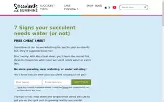 Succulentsandsunshine.com Screenshot 2024-07-02 02:19:38