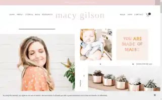 Macygilson.com Screenshot 2024-07-03 19:09:25