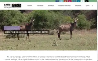 Sanbi.org Screenshot 2024-06-30 13:19:07