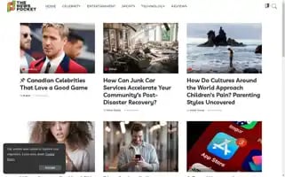 Thenewspocket.com Screenshot 2024-05-14 10:02:42