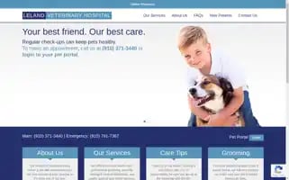 Lelandvethospital.com Screenshot 2024-06-18 12:46:17