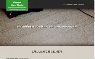 Evergreencarpetcleaningwa.com Screenshot 2024-05-15 21:32:02
