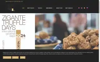 Trufflefair.com Screenshot 2024-06-17 16:06:29