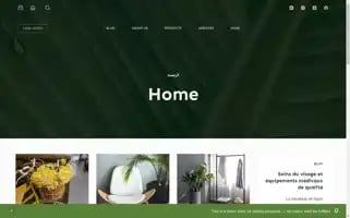 Gracefaith.online Screenshot 2024-05-28 09:32:29