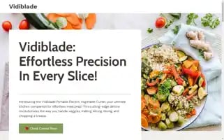 Vidiblade.com Screenshot 2024-04-27 11:55:25