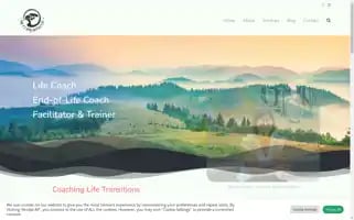 Mettamorphosis.ie Screenshot 2024-05-21 06:04:10