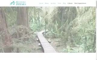 Blueridgephysio.com Screenshot 2024-05-20 19:54:06